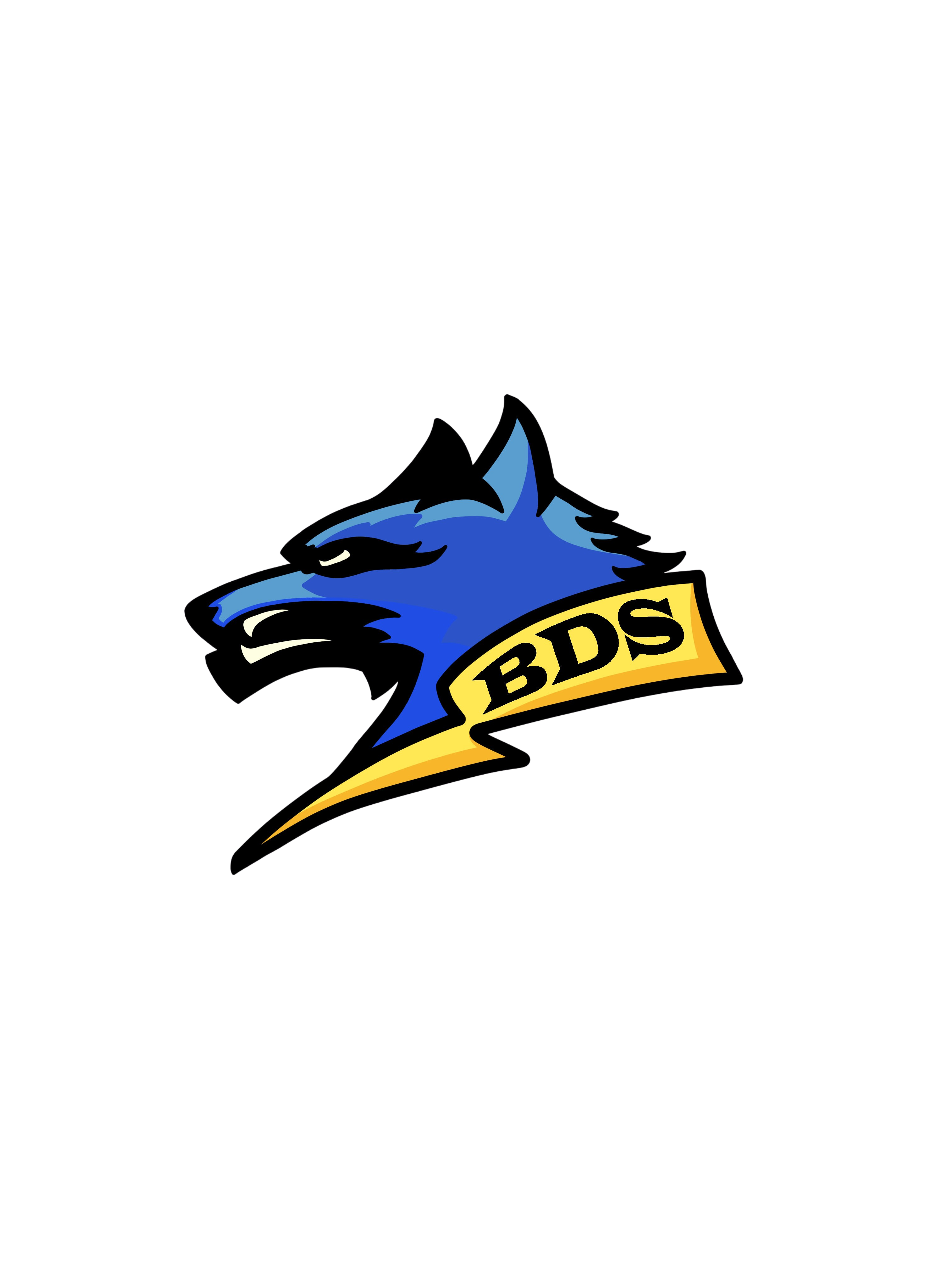 Logo BDS